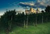 Wine-CastleDobrovo _Goriska_Brda-PhotoSTB-ZTKMSBrda