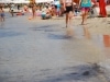 SUNNY BEACH DEUS TRAVEL (14)